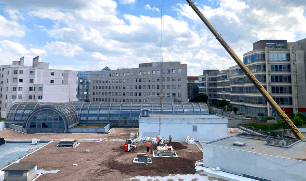 5.000 m2 neu gedacht: Urban Farming auf dem Dach eines Einkaufszentrums in Noisy-le-Grand