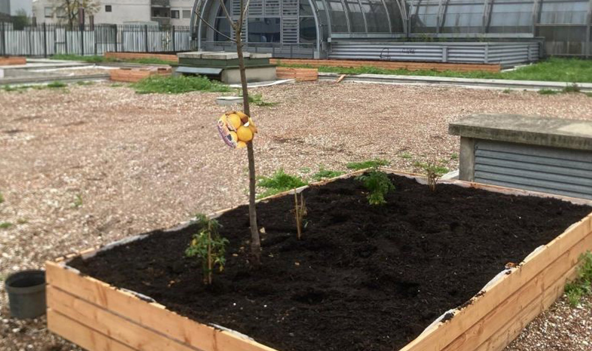 5.000 m2 neu gedacht: Urban Farming auf dem Dach eines Einkaufszentrums in Noisy-le-Grand
