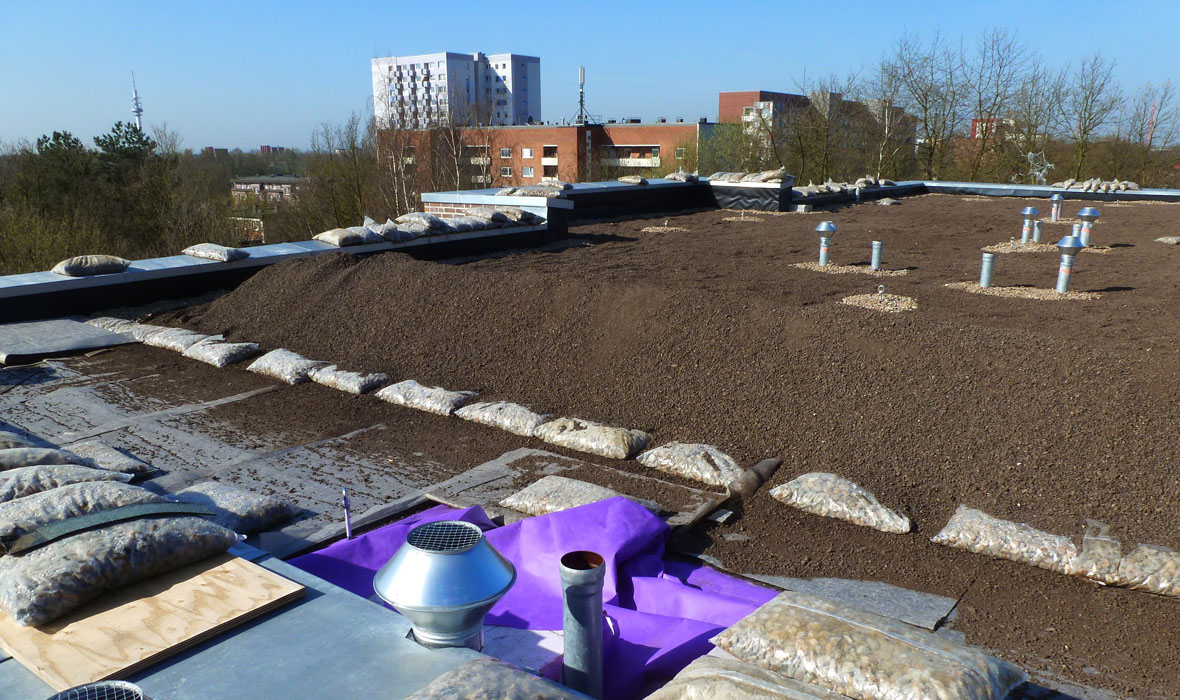 Begrüntes Umkehrdach für ein ländlich-urbanes Wohnquartier.